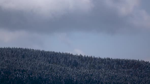 Snowy Gray Clouds Form Over Forest in Mountains. Time Lapse