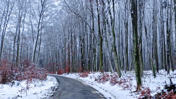 Winter road through snowy forest. Aerial view of winter, Poland