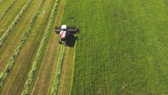 Combine Harvester Mows Grass on a Green Field Aerial View