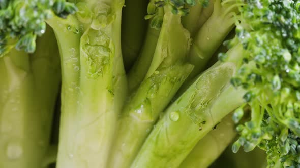 Broccoli Closeup Fresh Green Broccoli Vitamins Raw Food and Vegetarian Lifestyle Concept