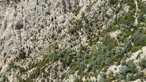 Top view of beautiful natural rocky sandy mountains with rare green trees growing on the rocks. High