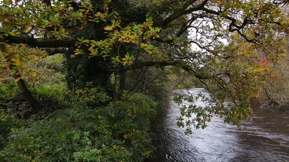 River Liffey In Late Autumn Near Dublin In Ireland. - aerial pullback