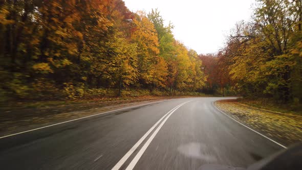 Driving On A Beautiful, Rainy Autumn Forest Road, Stock Footage By Brian Holm Nielsen