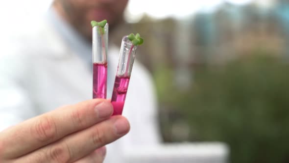 Scientist Holds Test Tubes with Plants in His Hands