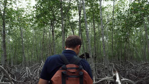 Man Tourist with Backpack Walk Through Mangrove Trees