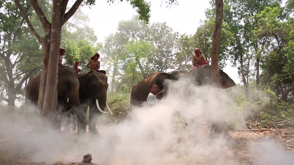 Mahout and Elephants Training in the forest of Thailand.
