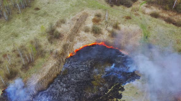 Wild Open Fire Destroys Grass