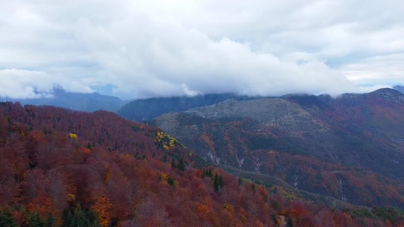 Aerial view of mountains and colorful trees