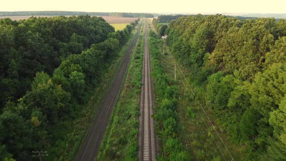 Railway Coming Out of the Forest Into the Field