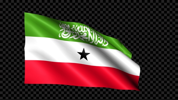 Somaliland Flag Blowing In The Wind