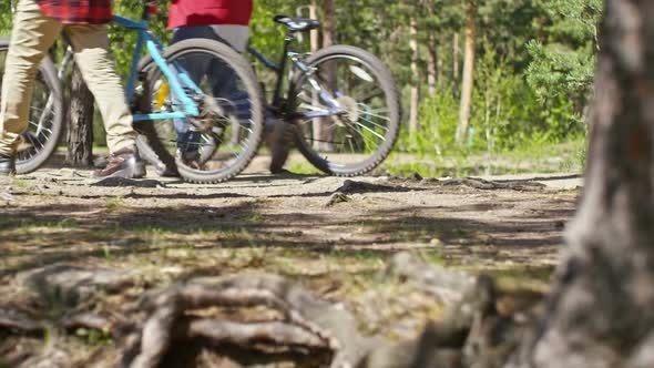 People with Bicycles Walking in Forest