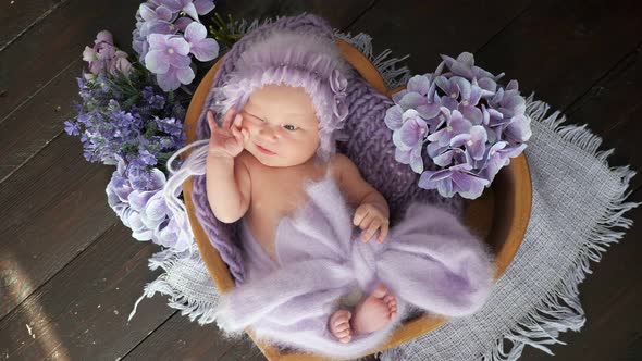 Newborn Girl in Heartshaped Basket Among Purple Flowers