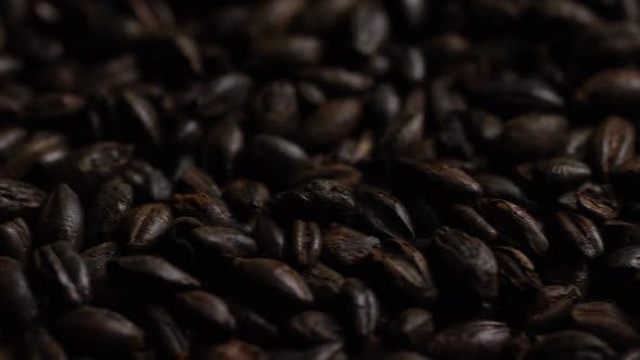 Rotating shot of barley and other beer brewing ingredients