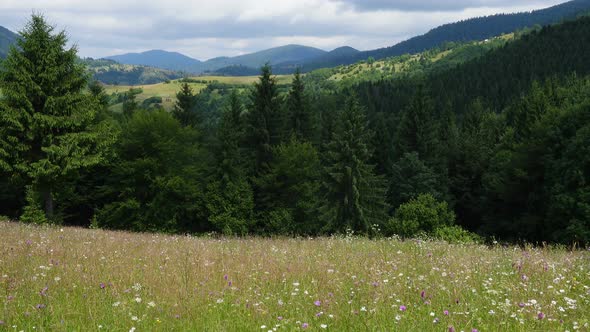 Beautiful Summer Mountain Landscape 2