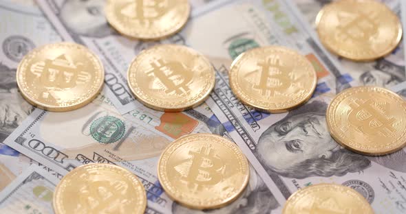 Golden bitcoin and USD