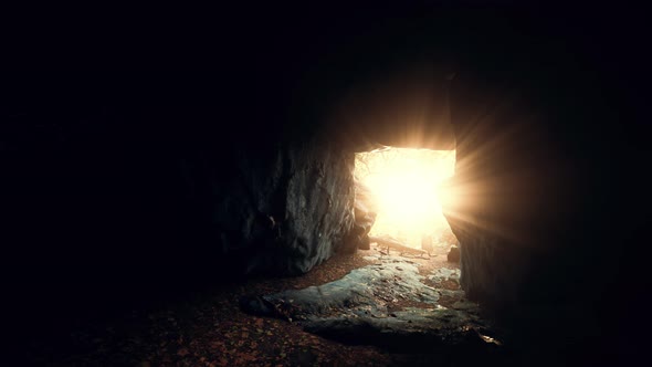 Big Dark Cave and Sun Light From Jungle Forest