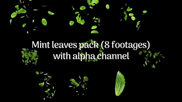 Mint Leaves Pack (8 Footages)