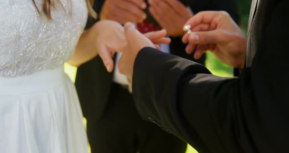 Bride and groom exchanging rings on the wedding day 4K 4k