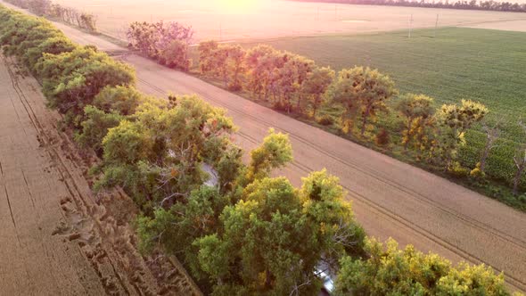 Drone Flying Over Road Between Wheat Fields During Dawn Sunset