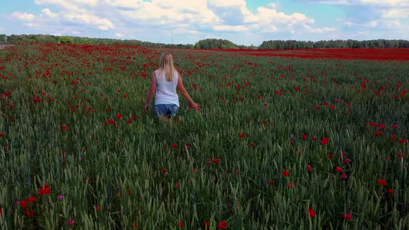 Young Blonde Woman  is Walking Through a Poppies Field Feeling Happy