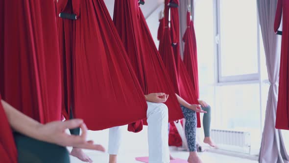 Skilled Fly Yoga Group Sits in Red Hammocks and Relaxes