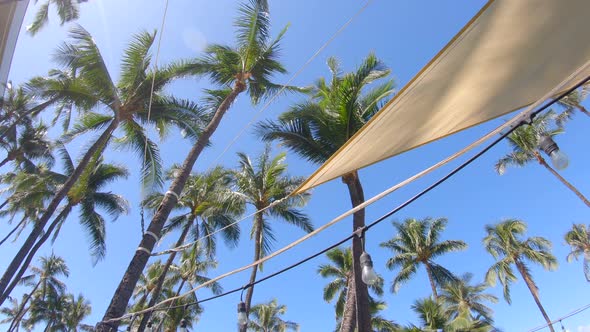 Shade sails and palm trees provide shade in Maui, Hawaii.