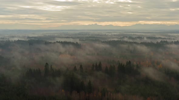 Foggy forest with mountains in the background, impressive drone shot with autumn colored trees, tota
