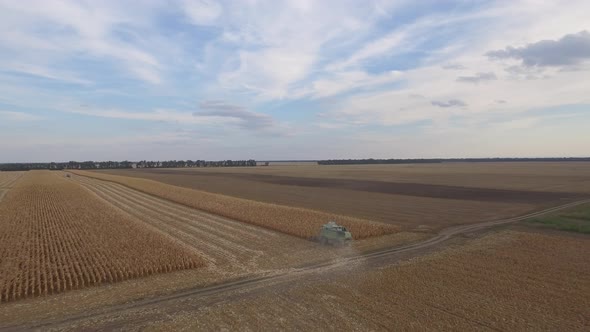 Combine Harvester Corn Harvesting Aerial