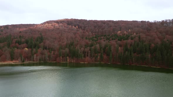 Aerial push in towards shore of Lake Sfanta Ana lined by vibrant autumn forest