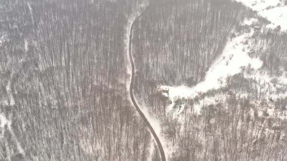 Road leads through the frozen forest 4K drone video