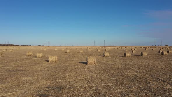 round bales of hay in the field