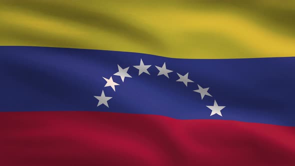 Venezuela Windy Flag Background 4K