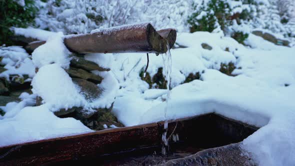 Man Drink Water From a Small Spring with Clear Clear Water in the Forest in the Carpathians