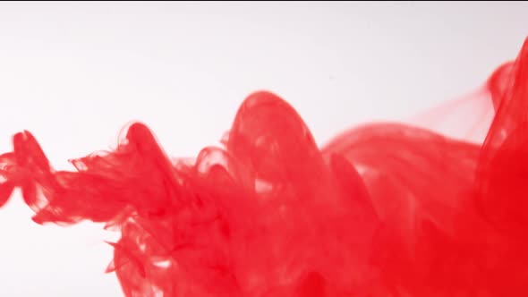 Red Color Paint Drops in Water  Drop of Red Ink Color Falling on Water Colorful Ink   Footage