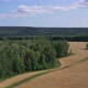 Beautiful view of the field, with golden wheat and dense forest - VideoHive Item for Sale