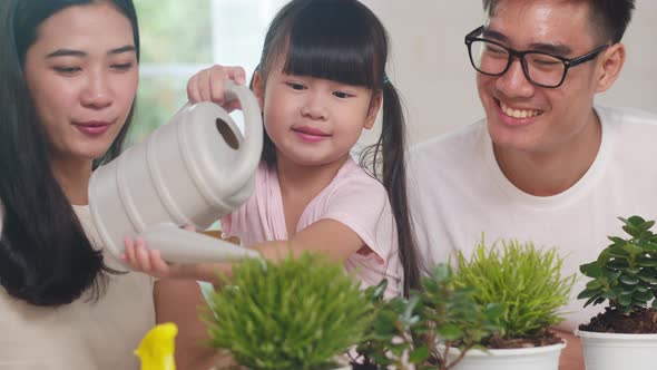 Asian family dad, mom and daughter watering plant in gardening near window at house.