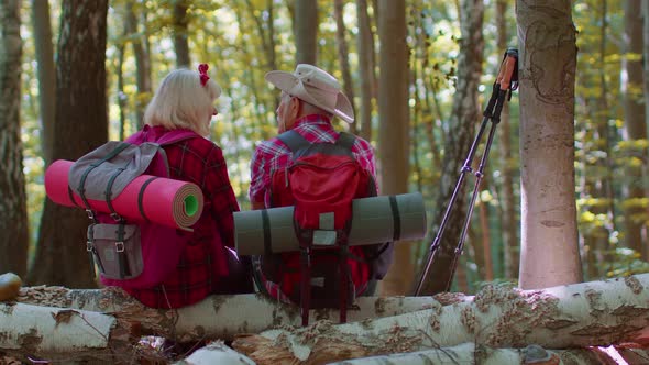 Grandmother Grandfather Senior Tourists Hikers Sitting on Tree and Hugging Kissing in Summer Forest