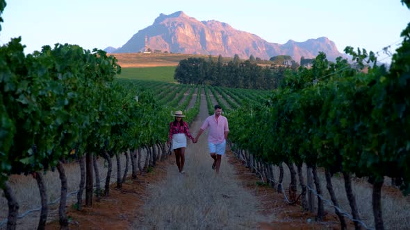 Vineyard Landscape at Sunset with Mountains in Stellenbosch Near Cape Town South Africa