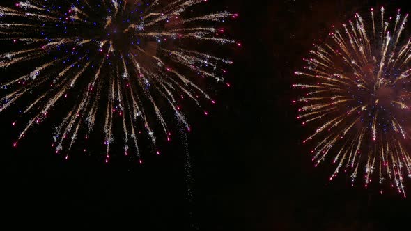 Colorful Firework display at night on sky background