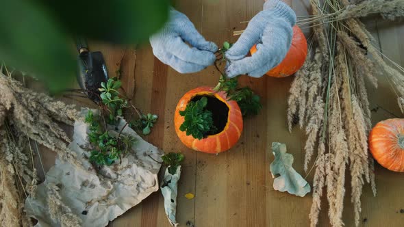 Autumnal DIY Garden Decoration