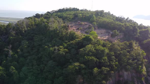 Deforestation jungle at hill