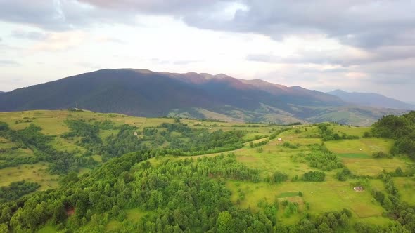 Aerial View of the Endless Lush Pastures of the Carpathian Expanses and Agricultural Land