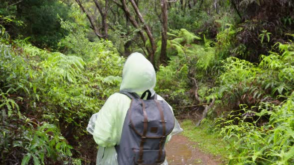 SLOW MOTION Young Hiker Woman with Backpack and Rain Poncho Trekking Rainforest