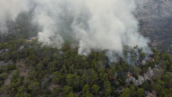 Aerial View of Forest Wildfire