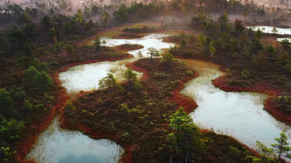 Aerial shot of a misty and saturated swamp