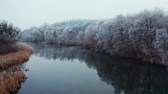 Winter landscape in nature. 