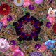 Flowers Kaleidoscope - VideoHive Item for Sale