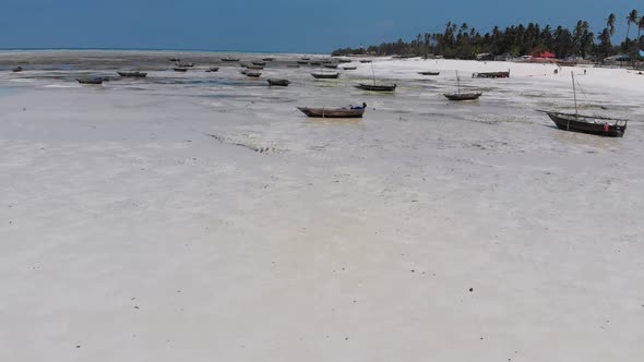 Many Fishing Boats Stuck in Sand Off Coast at Low Tide Zanzibar Aerial View