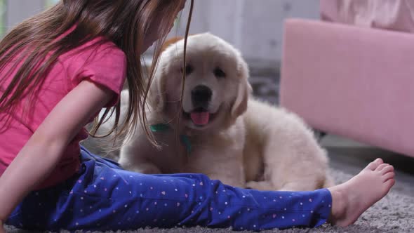 Cute Puppy Sniffing Little Child Sitting on Floor