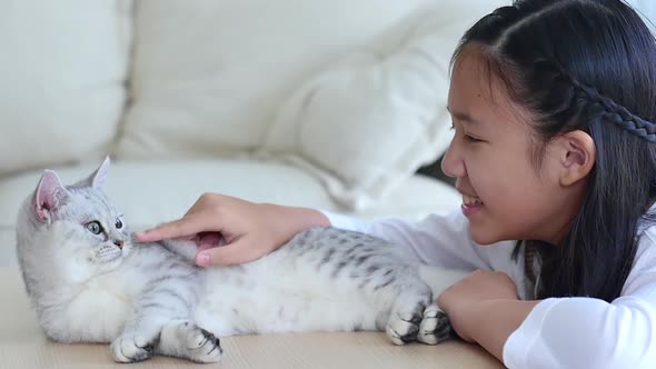 Cute Asian Child Playing With Persian Kitten Together